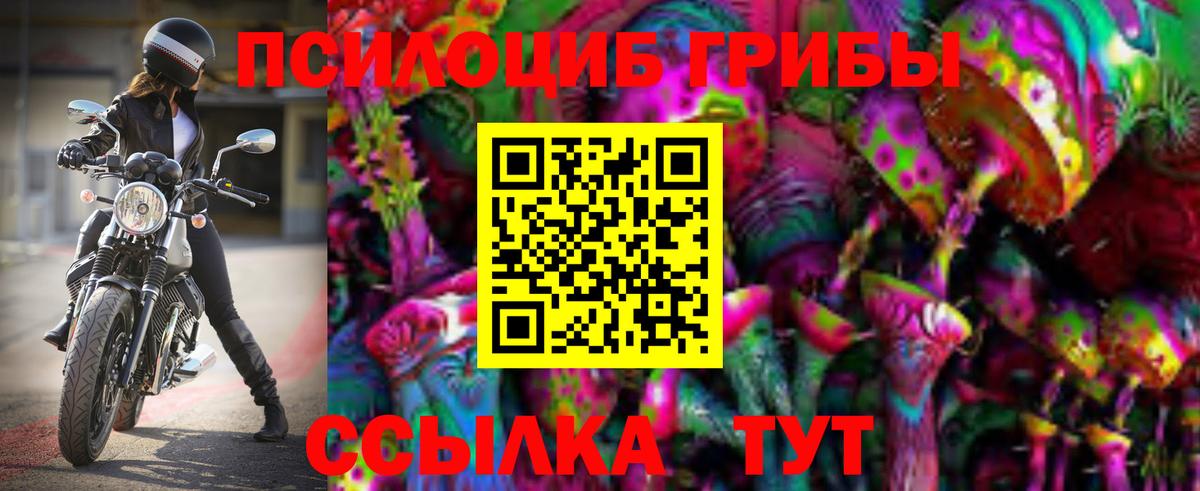 Тосно  Галлюциногенные грибы Psilocybine cubensis  Вход с VPN 