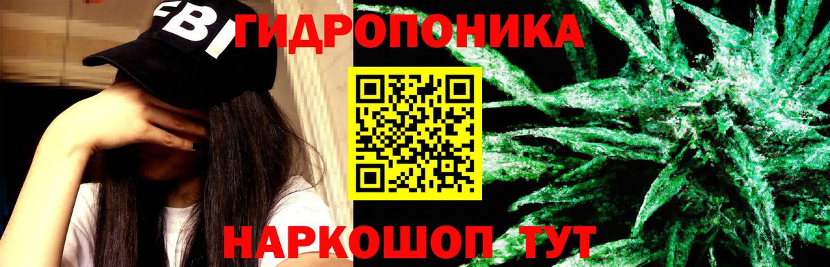 Канабис SATIVA & INDICA Тосно